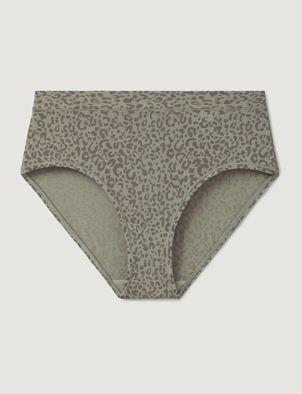 Women's Second Skin High Rise Brief (5-Pack)